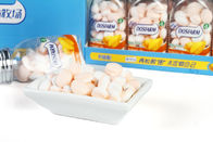 OEM Functional Vitamin Mint Candy Super Cooling Mango Flavor